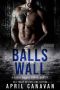 [Birch County Heroes 01] • Balls to the Wall